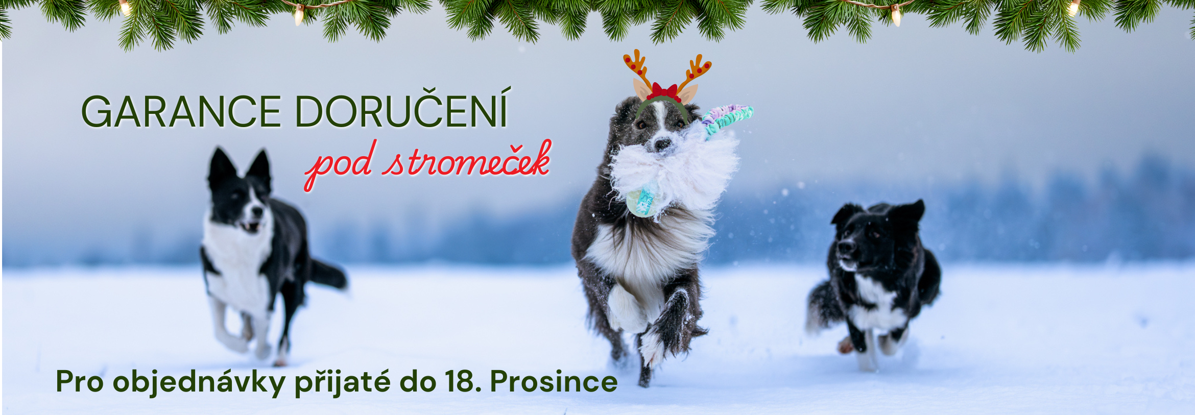 Garance doručení pod stromeček